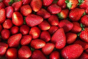 Fresh organic strawberries photo