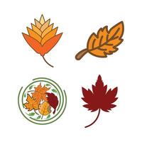 Autumn Maple symbol icon vector