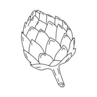 Detailed sketch of a fresh artichoke on a white background showcasing its natural texture and form vector