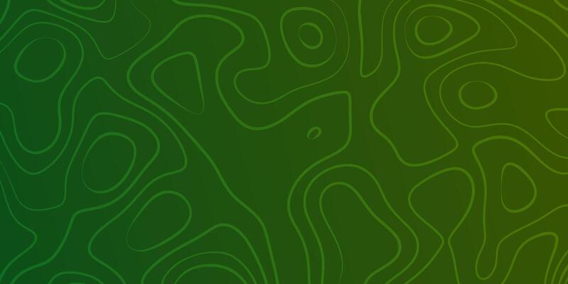 Beautiful green abstract topographic background with gently flowing lines creating an organic pattern
