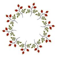 Decorative circle of red berries and green leaves on a white background for festive themes and designs vector