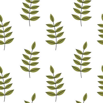 Leaf pattern design on a white background showcasing various green leaves in a symmetrical layout