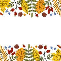 Autumn leaves and berries create a vibrant decorative border for a seasonal celebration or craft project vector