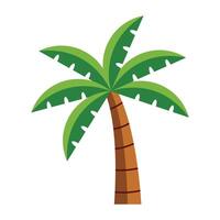 Cartoon palm tree icon with green leaves isolated on white background vector