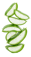Stack of Freshly Cut Aloe Vera Slices with Water Droplets on Transparent Backdrop png