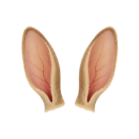 Adorable bunny ears illustration on transparent background for Easter and spring png