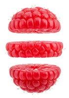 Deconstructed Raspberry Arrangement Showcasing Berry Structure on Transparent Backdrop png