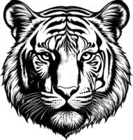 High detail flat icon of a tiger head line art with smooth edges vector