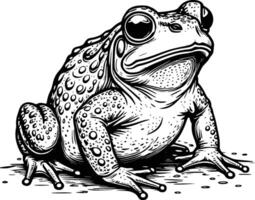 drawing coloring book pages for children and adults, frog on a leaf line art vector