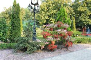 Decorative wrought iron flower stand with blooming Petunia stands in the Feldman Eco park in Kharkov, Ukraine photo