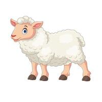 cartoon sheep illustration vector
