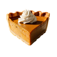 Delicious Square Caramel Fudge Pieces with Drizzle Top png