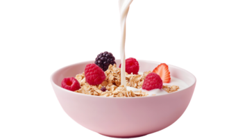 Muesli with yogurt and fruits in a bowl png