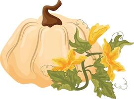 flat icon of a white round pumpkin and green tops with yellow flowers and green leaves near it, for autumn printing, textile or packaging vector