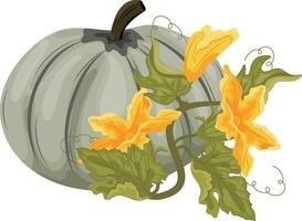 Flat icon of round green pumpkin and green tops with yellow flowers and green leaves next to it, for autumn print, textile or packaging vector