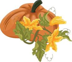 Flat icon of round orange pumpkin and green tops with yellow flowers and green leaves next to it, for autumn print, textile or packaging vector
