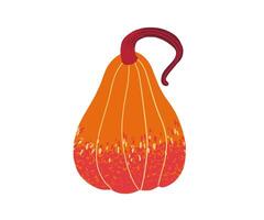 Orange and red ornamental gourd with curved stem, isolated on white background vector
