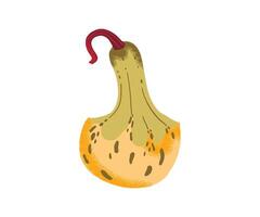 Yellow and green decorative gourd with speckled texture and curved stem, isolated on white background. vector