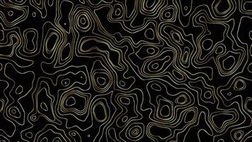 Abstract Topographic Contour Lines Background vector