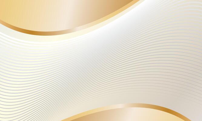 Luxurious background with dynamic lines curves and waves