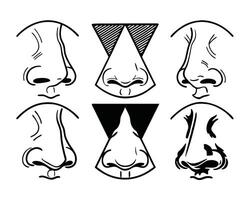 illustration of various noses in black and white showing different styles and shapes. vector