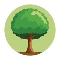 A green tree in a circle on a white background vector