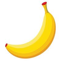 A banana is shown on a white background vector