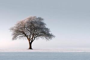 Frosty tree in winter landscape photo