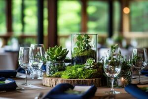 Succulent centerpiece on dining table photo
