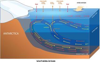 Southern Ocean CO2 dynamics illustration vector