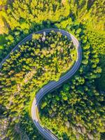 A winding asphalt road snakes through a vibrant green forest valley, surrounded by tall trees and natural beauty, inviting exploration and adventure in a serene setting. photo