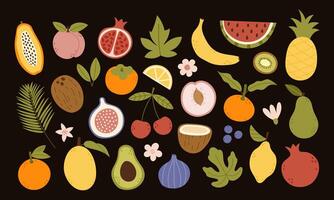 Colorful fruits and plants illustration vector