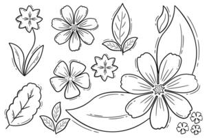 different types of Leaves and Flower doodles vector