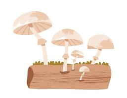 Mushrooms on a wooden log vector