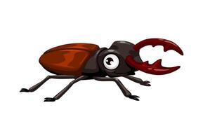 Cartoon funny stag beetle character of insect bug vector
