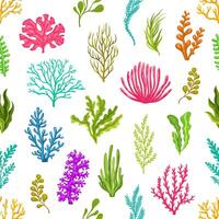 Colorful coral and seaweed pattern design vector
