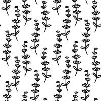 Beautiful black and white floral pattern with delicate flower stems on bright background. vector