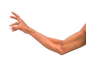 Man's Arm Reaching Out on a White Background, Indicating Grasping or Touching Motion photo