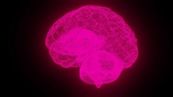 Digital brain with lines video