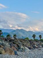 Rocky Shoreline with Palm Trees and Mountain Backdrop under Partly Cloudy Sky photo