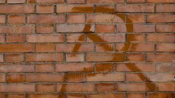 hammer and sickle symbol on a wall photo