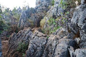 Rocky and stone cliff in forest park photo
