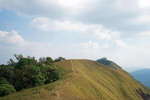 Natural top peak landscape of mountain hill, trail pathway with green grass steps and cloudy sky photo