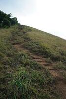 Natural peak landscape of mountain hill, trail pathway with green grass steps and cloudy sky photo