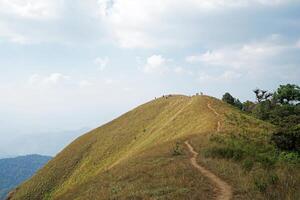 Group of backpackers trekking along trail pathway among natural landscape of green mountain forest park and cloudy white sky photo