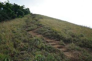 Natural landscape of trail pathway with green grass and cloudy sky photo