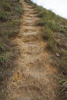 Natural trail pathway among landscape of green forest park and cloudy blue sky photo