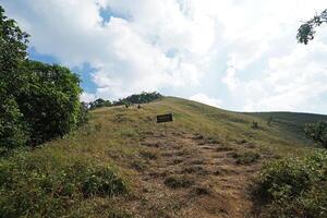 Group of explorer trekking along trail pathway among natural green landscape of green mountain forest park and cloudy blue sky photo