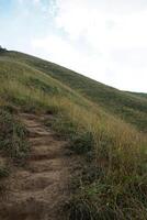 Natural landscape of mountain hill, trail path with green grass and cloudy sky photo