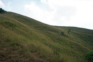 Natural peak landscape of rainforest green hill ridge with cloudy white sky photo
